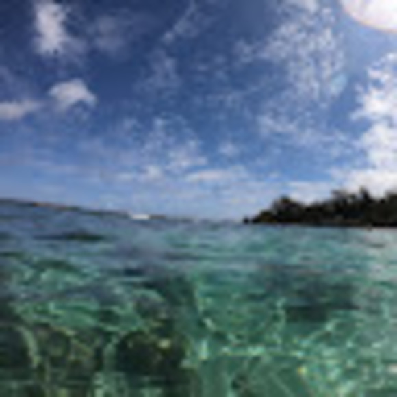 Meet your Posher, Rita - Picture 1 of 1